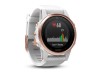 Garmin Fenix 5s